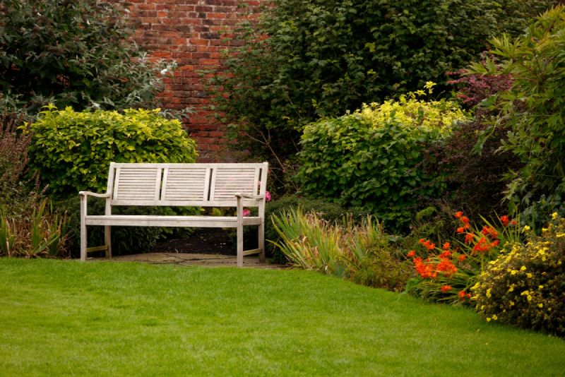 are coffee grounds good for plants